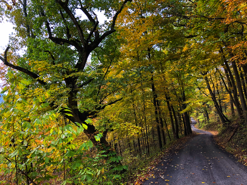 Fall foliage explorations near Versailles, Indiana